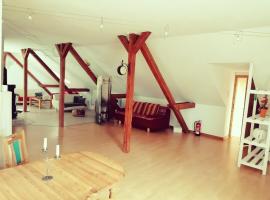 FeWo an der Eider / Holiday apartment on the Eider，位于Sankt Annen的公寓