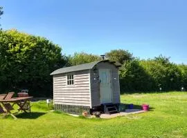 Shepherd's Lodge - Shepherd's Hut with Devon Views for up to Two People and One Smaller Dog