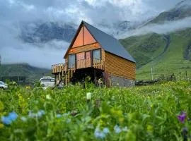 mood villa Kazbegi