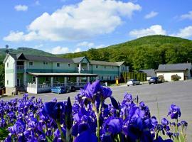 Hotel Biele Studničky Dargov，位于Dargov的酒店