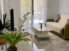 beautiful apartment near the sea and a large private garden