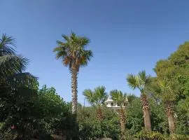 palm-tree