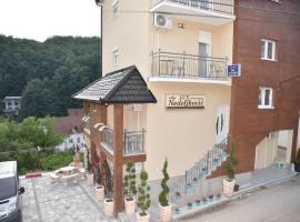 Vila Lux Nedeljkovic Gornja Trepca，位于查查克哥尔纳雷普卡温泉浴场附近的酒店
