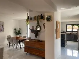 Maison lyon 8 jardin parking studio indépendant sur demande