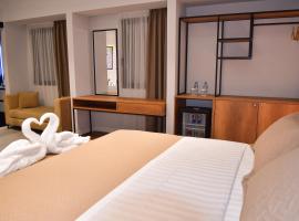 313 Villa City Center，位于地拉那地拉那特蕾莎修女国际机场 - TIA附近的酒店