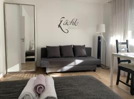 Top Modernes 1-Zimmer-Apartment mit Küche, Parkplatz, kostenfreiem WLAN und Netflix，位于巴特索登-萨尔明斯特的公寓