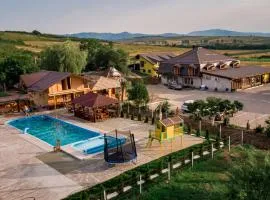 Complex Stefanesti