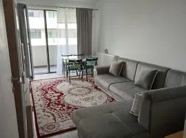 Deluxe 2 bedroom apartment with balcony and private parking