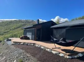 Cabin at the top of Hodlekve. Ski in/ski out.