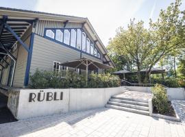 Rübli，位于内卡河畔弗赖贝格的酒店