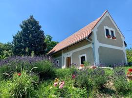 Balaton home with a majestic view，位于鲍洛托奈代里奇的酒店