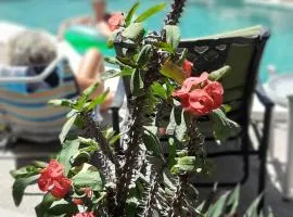 Apartmento con alberca a 50 mt del mar La Licha