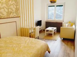 Superbe Appartement en plein centre-ville de Crépy