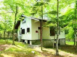Minamitsuru-gun - Cottage - Vacation STAY 59712v