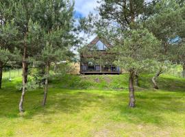 Cosy Cabin - domek na Kaszubach z sauną, balią i basenem，位于Stara Sikorska Huta的酒店