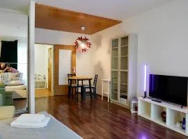 Energetic Mountain Apartment