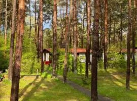 Bungalow im Kiefernwald direkt an der Ostsee (c)