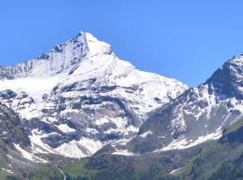 Val di Cogne Il Grand Nomenon，位于艾马维尔的乡村别墅