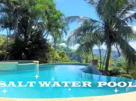 Playa Potrero, Oceanview Villa Oasis with salt-water pool for up to 8 people