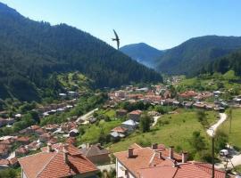 Family Hotel Silivryak，位于特里格拉德的酒店