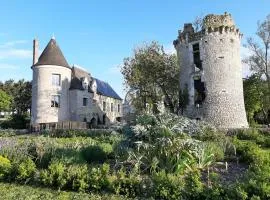 Château médiéval avec piscine privée et jardin, animaux acceptés - FR-1-381-410