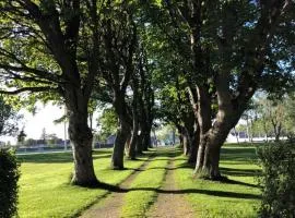 Sjarmerende hus med veldig stort uteareal.