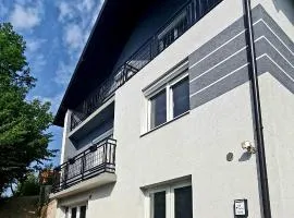 Mirna Bosna