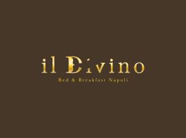 B&B il Divino，位于那不勒斯那不勒斯法庭附近的酒店