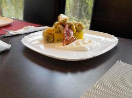 Vila Daniel，位于Nucet的酒店