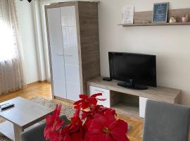 Apartmani CENTAR Vrnjacka Banja & Free Parking，位于弗尔尼亚奇卡矿泉镇的酒店