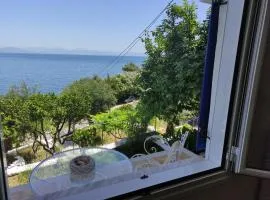 Blue and White Apartments 1