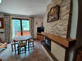 Charmant 2 pièces avec balcon et parking au Col du Corbier - FR-1-573-107