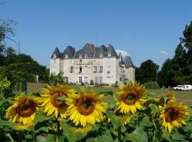 Château de Piolant