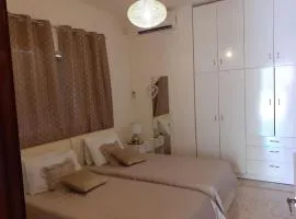 Sunny large terrace studio apartment WiFi Airconditioners BBQ