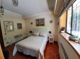 Bed & Breakfast Lastarria