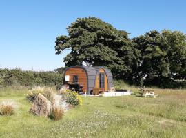 Hornbeam Luxury Eco Pod at Trewithen Farm Glamping，位于朗塞斯顿的度假屋