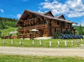 Pensiunea Agroturistica Casa Brazilor