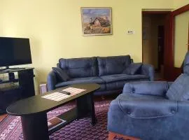 Apartment Roxana Vrdnik