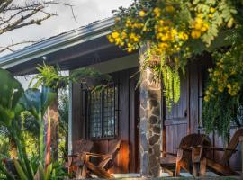 Vista Lago Arenal，位于Piedras的酒店