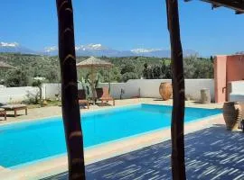 Villa Louloudia stylish luxury villa with private pool