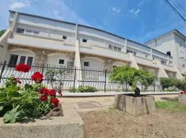 Hotel Argeș with Private Courtyard and Garden