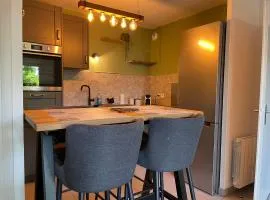 Le Teich, appartement coeur de ville