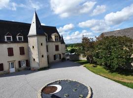 Gîte château d'Espalungue, piscine et SPA，位于Dognen的家庭/亲子酒店