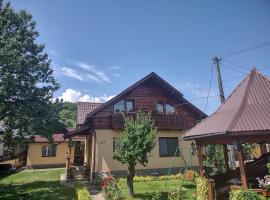 Pensiunea Ghiță Vasile，位于瓦杜伊泽的酒店