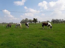 Gîte La Besse, Claudon，位于Claudon的度假屋