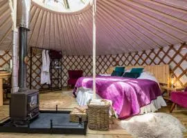 Luxury Yurt with Hot Tub - pre-heated for your arrival