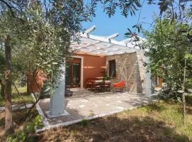 Elea Stone Houses in organic quiet olive grove, Prinos, Thassos