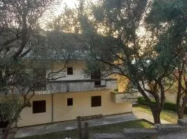 Apartments Vukasović