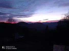 La Mésange Charbonnière