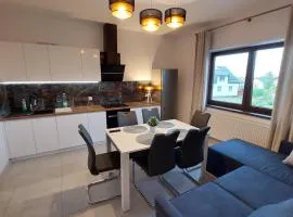 Apartamenty Starowiejska 39, Ryczów - 10km od Zator Energylandia